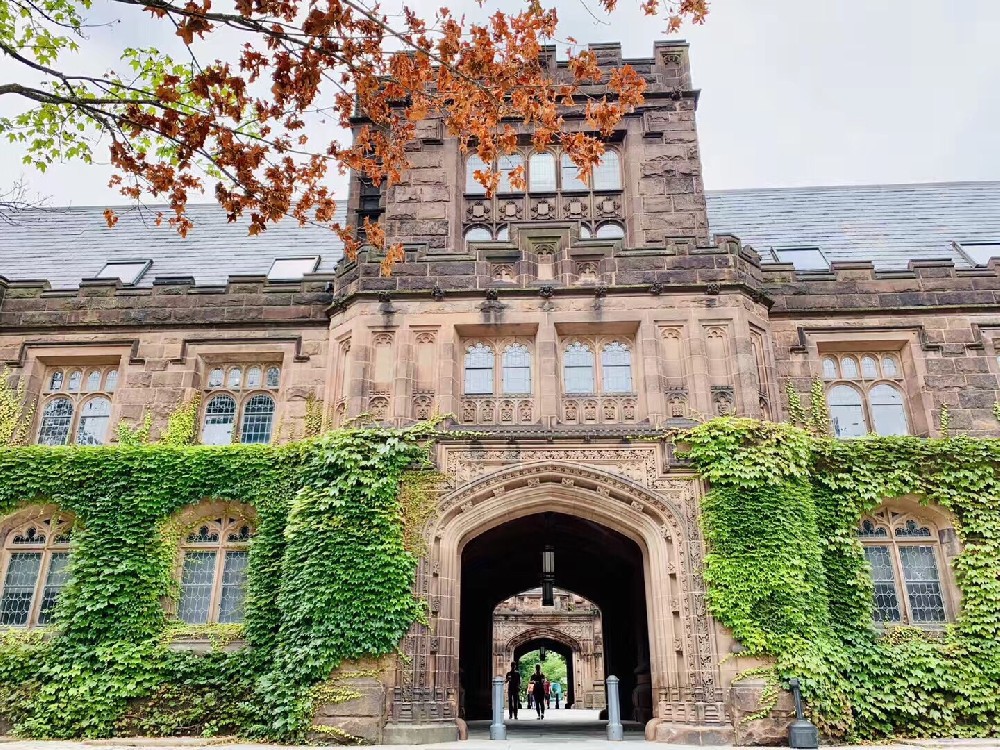 普林斯顿大学