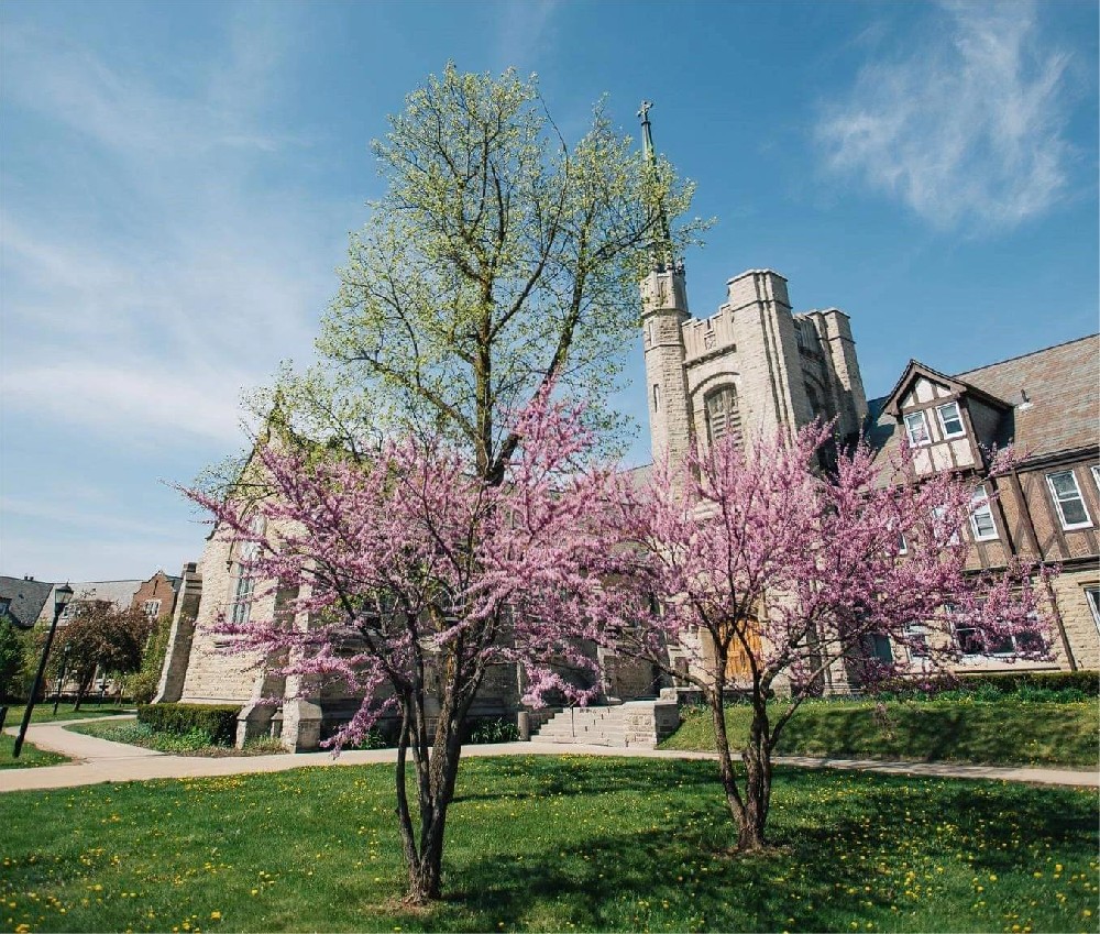 韦仕敦大学