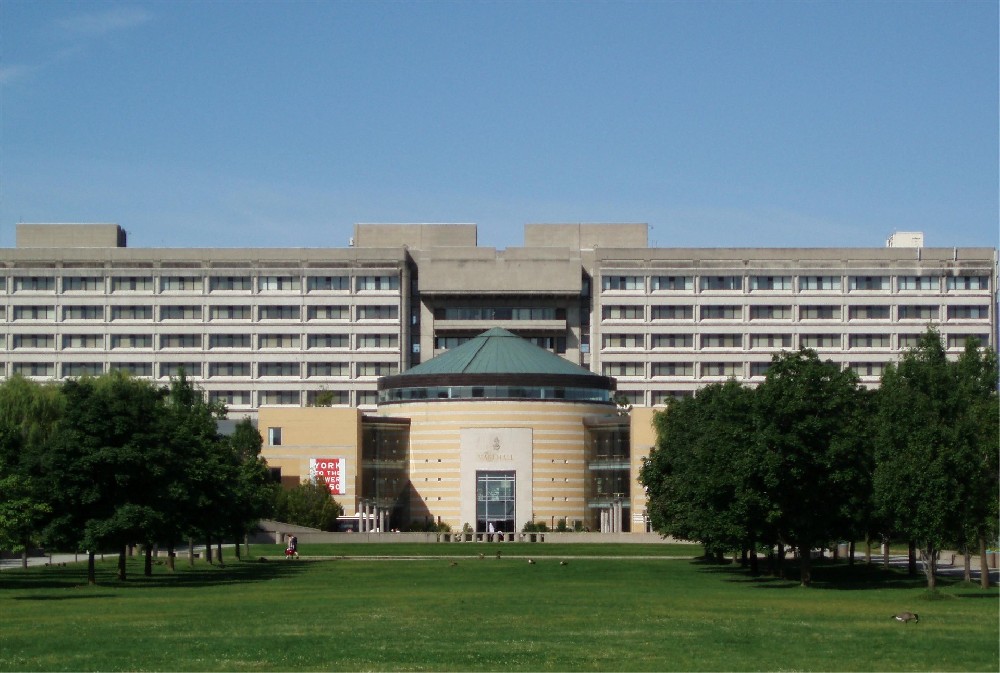 约克大学