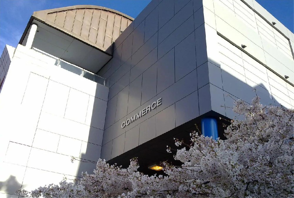 奥塔哥大学