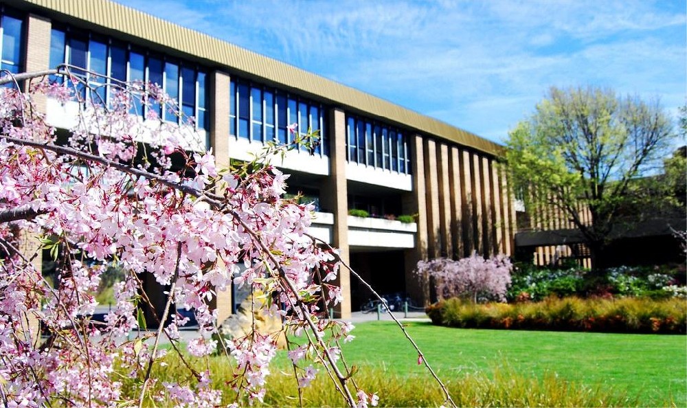 乐卓博大学