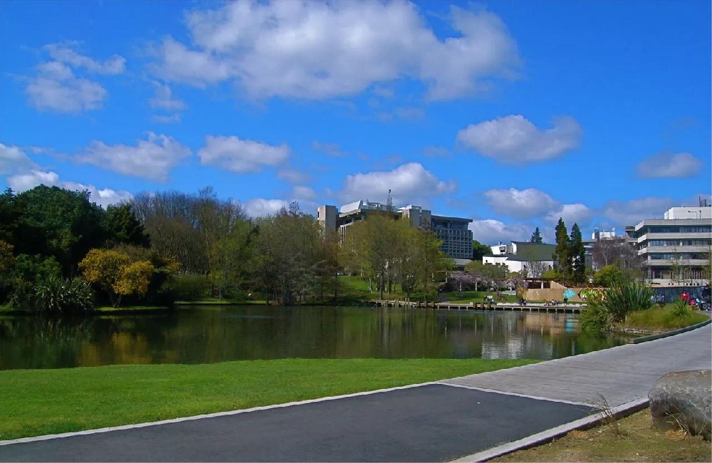怀卡托大学